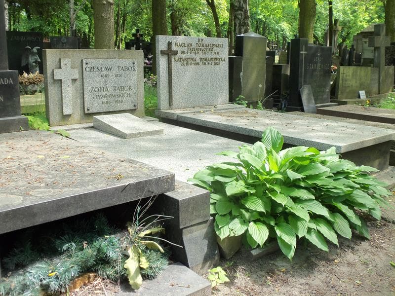 Zdjęcie grobu Tadeusz Tabor (1)