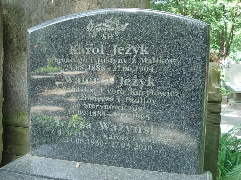 Zdjęcie grobu Waleria Jeżyk (1)