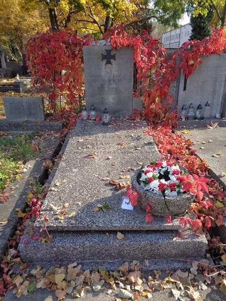 Zdjęcie grobu Janina Dąbrowska (1)