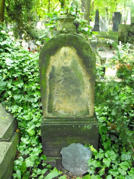Zdjęcie grobu Ignacy Dąbkowski (1)