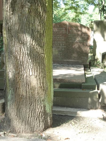 Zdjęcie grobu: Wanda Chylińska