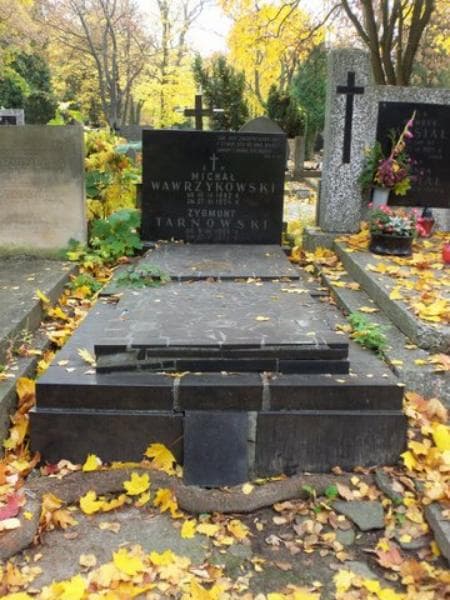 Zdjęcie grobu: Zygmunt Tarnowski