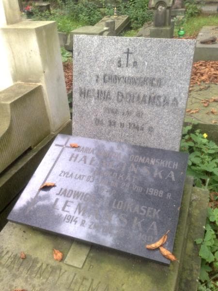 Zdjęcie grobu Wincenty Lemański (1)