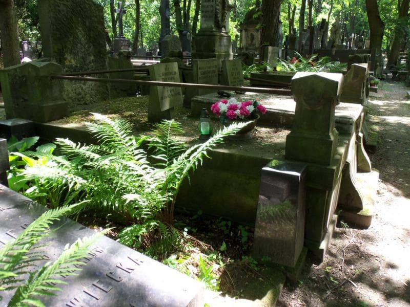 Zdjęcie grobu Adolf Pepłowski (1)