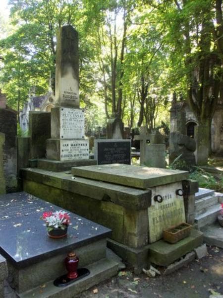 Zdjęcie grobu Nepomucyna Plucińska (1)