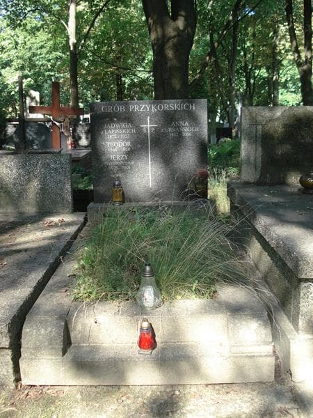 Zdjęcie grobu: Teodor Przykorski
