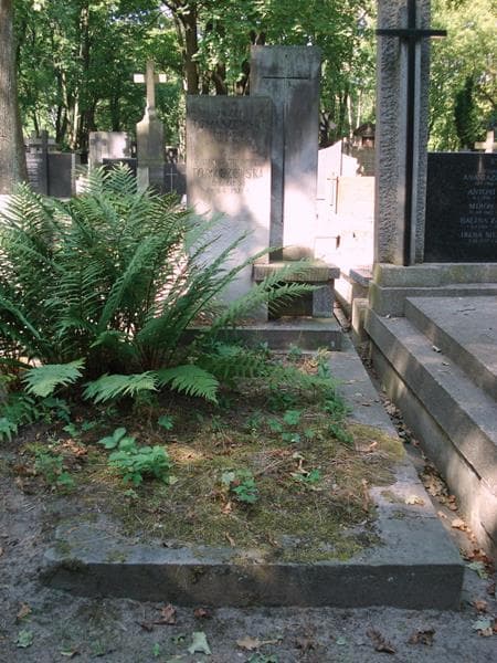 Zdjęcie grobu Bronisława Tomaszewska (1)