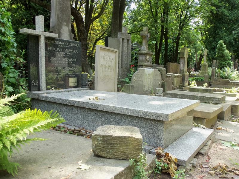 Zdjęcie grobu Janina Janowska (1)
