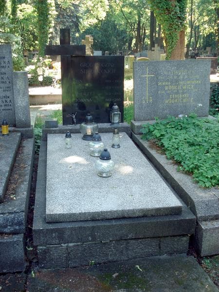 Zdjęcie grobu: Jan Strzelecki