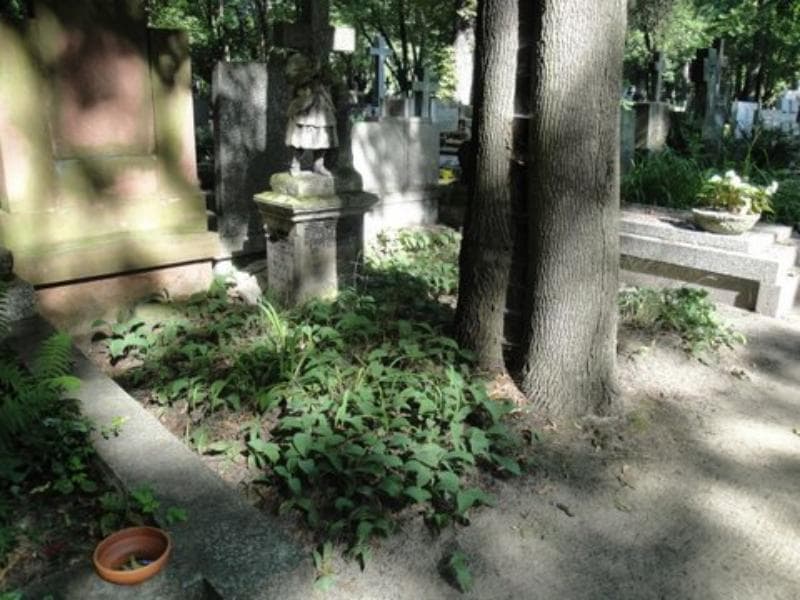 Zdjęcie grobu: Walercia ...