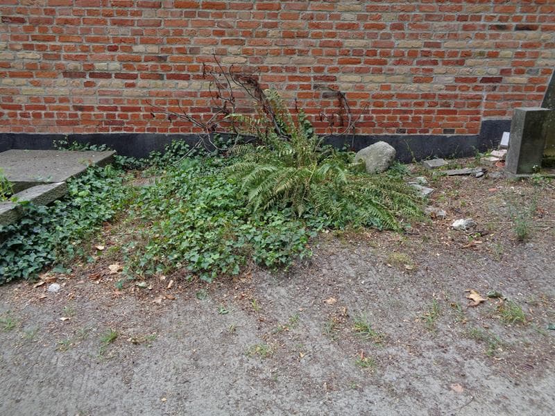 Zdjęcie grobu: Pole Grobowe