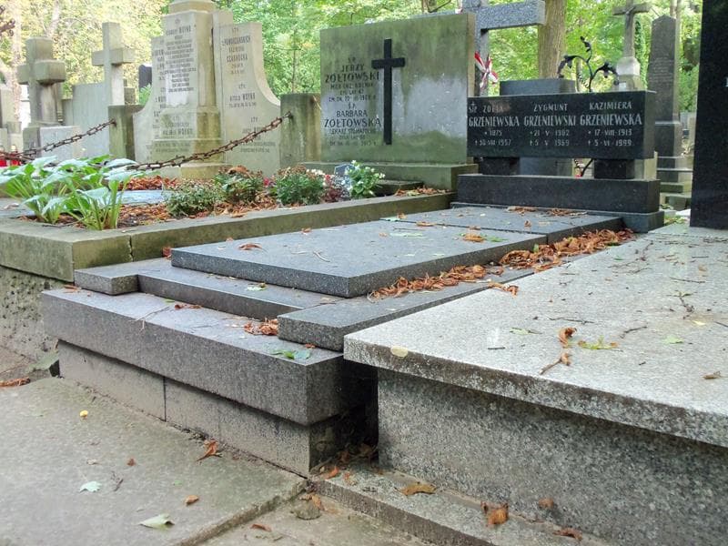 Zdjęcie grobu Zygmunt Grzeniewski (1)