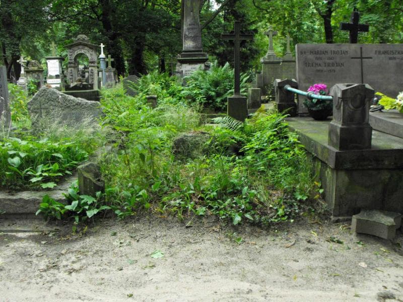 Zdjęcie grobu: Anna Wasilewska
