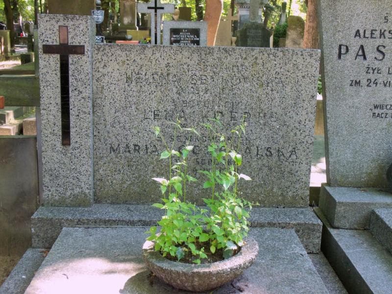 Zdjęcie grobu Maria Oczesalska (2)