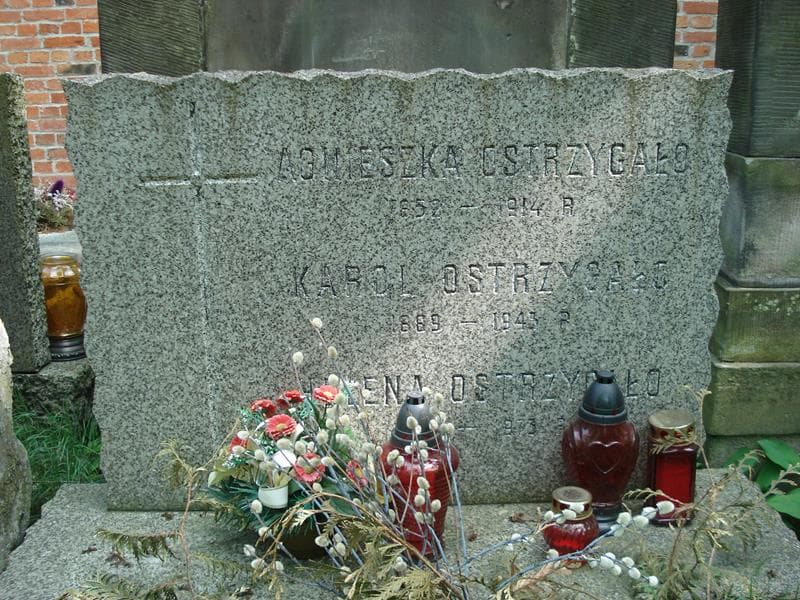 Zdjęcie grobu Helena Ostrzygało (1)