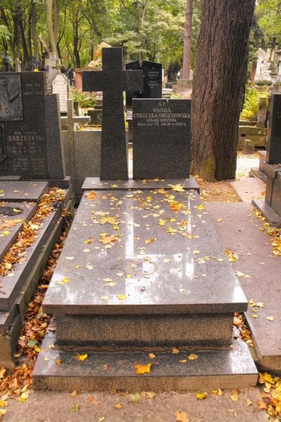 Zdjęcie grobu: Wanda Cybulska-Drozdowska