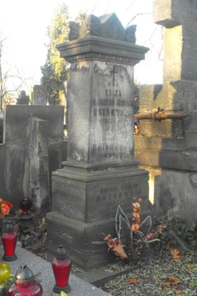 Zdjęcie grobu Ignacy Ostrowski (2)