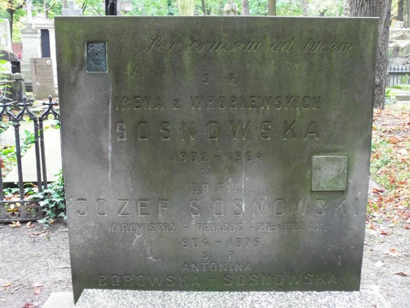 Zdjęcie grobu Antonina Borowska-Sosnowska (2)