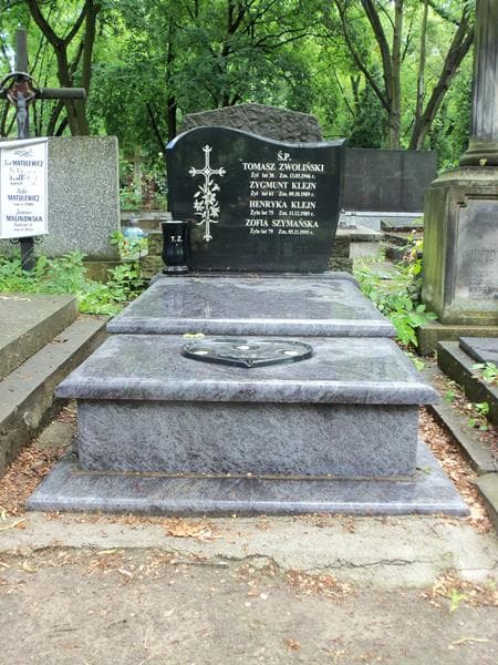 Zdjęcie grobu: Henryka Klejn