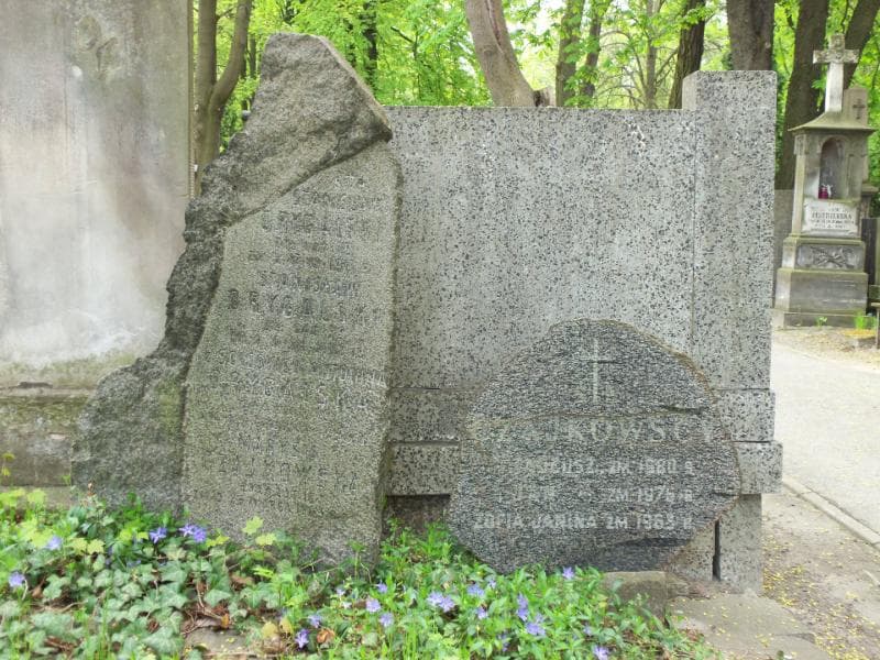 Zdjęcie grobu Antonina Drygalska (2)