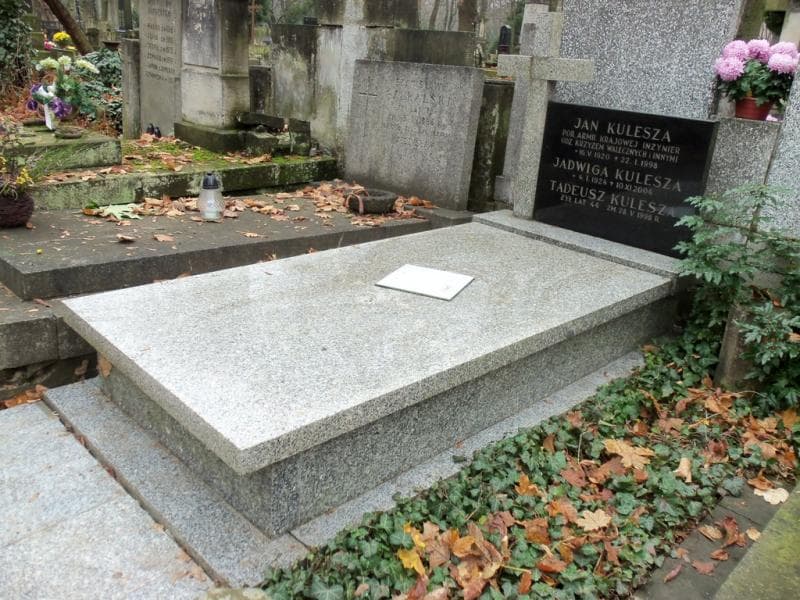Zdjęcie grobu Jan Kulesza (1)