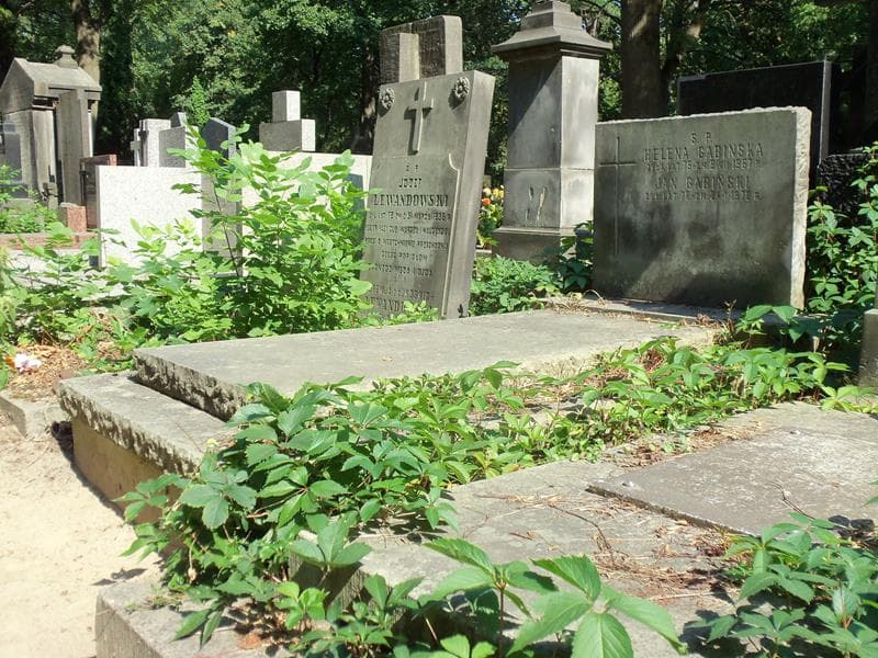 Zdjęcie grobu Jan Gabiński (1)