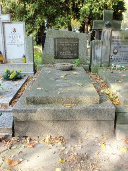 Zdjęcie grobu: Stefan Dobrowolski
