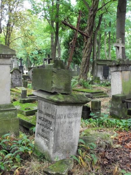 Zdjęcie grobu Zygmunt Nałęcz Gostomski (2)