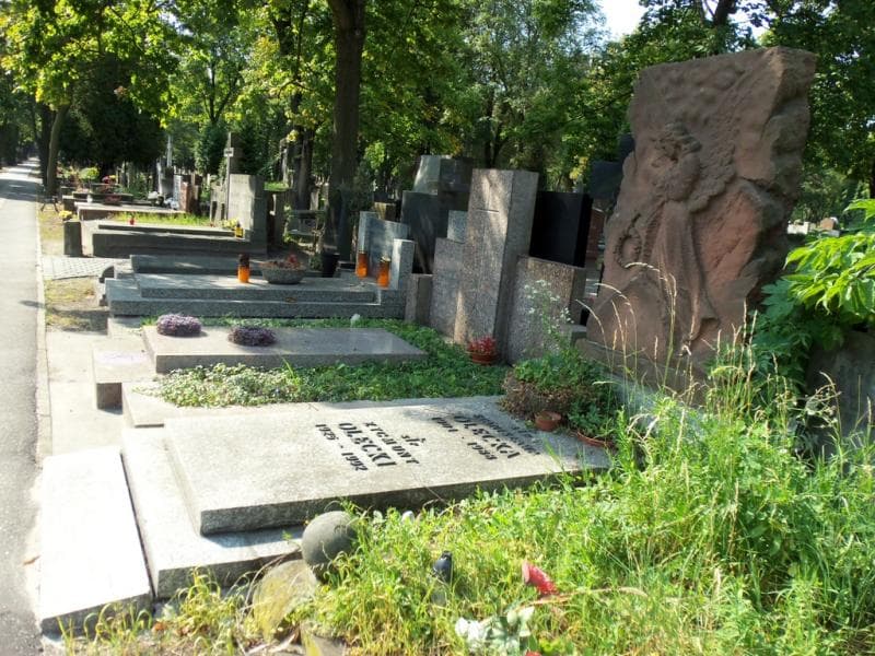 Zdjęcie grobu Stefan Olecki (1)
