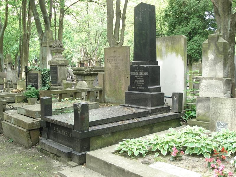 Zdjęcie grobu Marjan Józef Cederbaum-Sieniawski (1)
