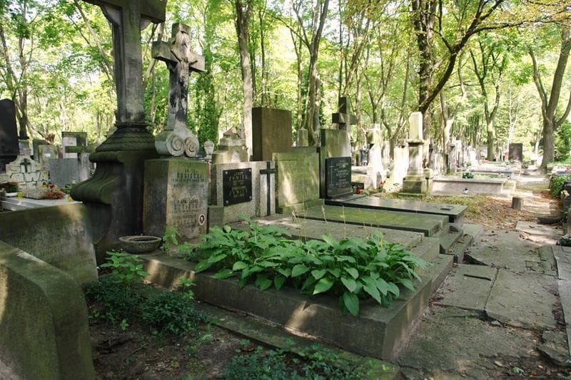 Zdjęcie grobu: Andrzej Błaszczykowski