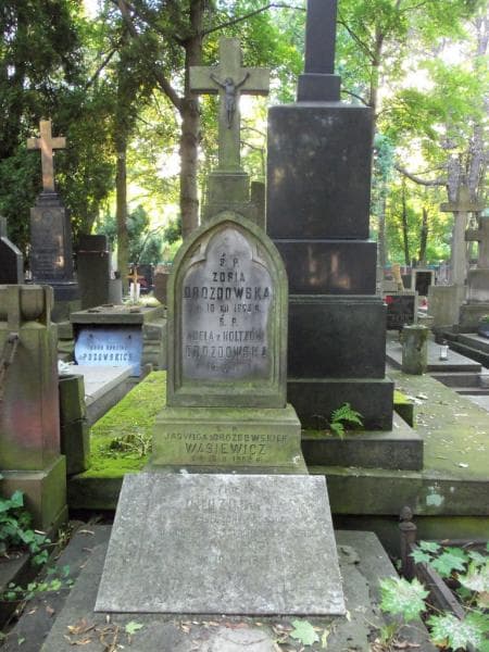 Zdjęcie grobu Jadwiga Wasiewicz (2)
