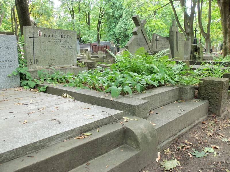 Zdjęcie grobu Henryk Majchrzak (1)