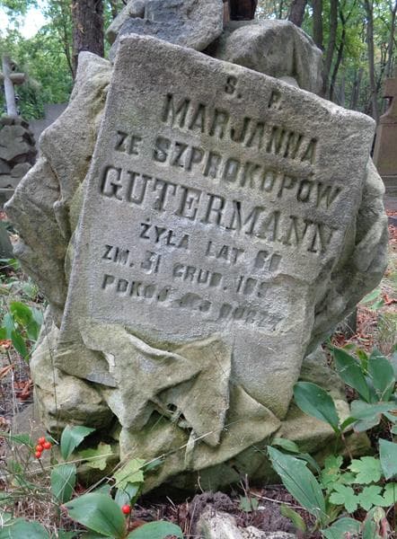 Zdjęcie grobu Marjanna Gutermann (2)
