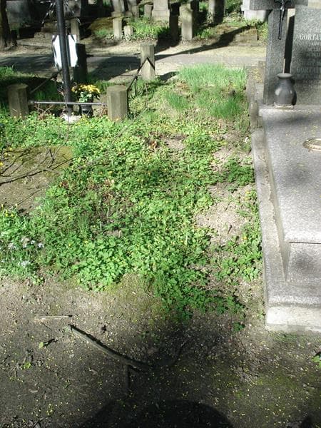 Zdjęcie grobu: Pole Grobowe