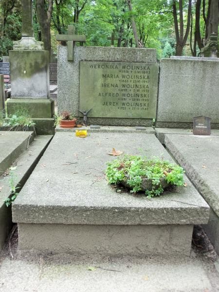 Zdjęcie grobu: Alfred Woliński