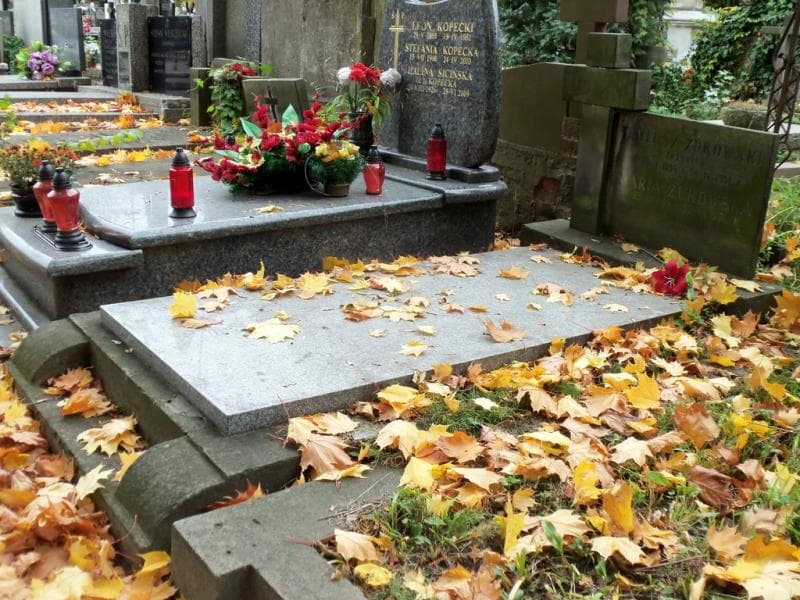 Zdjęcie grobu Maria Żukowska (1)