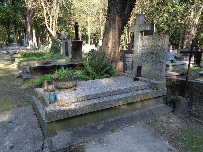 Zdjęcie grobu: Maria Ambroziak