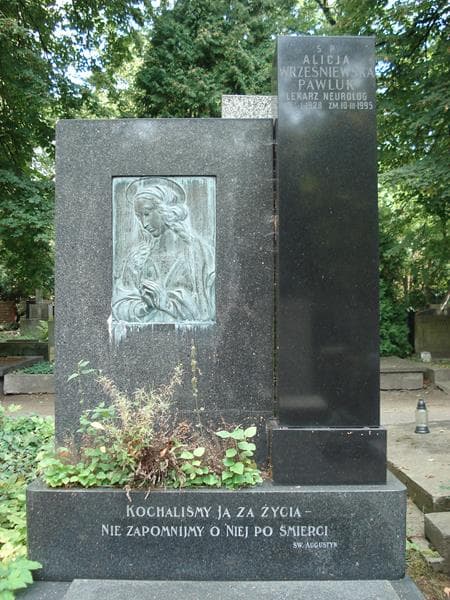 Zdjęcie grobu Alicja Wrześniewska (2)