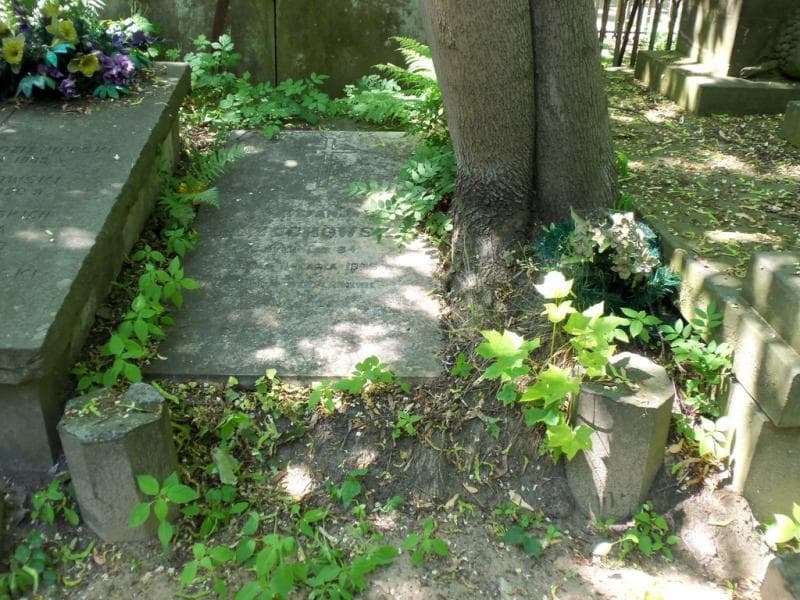 Zdjęcie grobu: Stefanja Kożuchowska