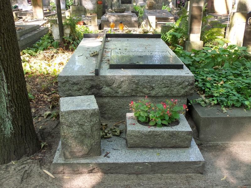 Zdjęcie grobu Henryk Lipiński (1)