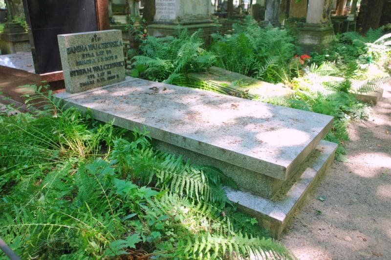 Zdjęcie grobu: Janina Walczewska