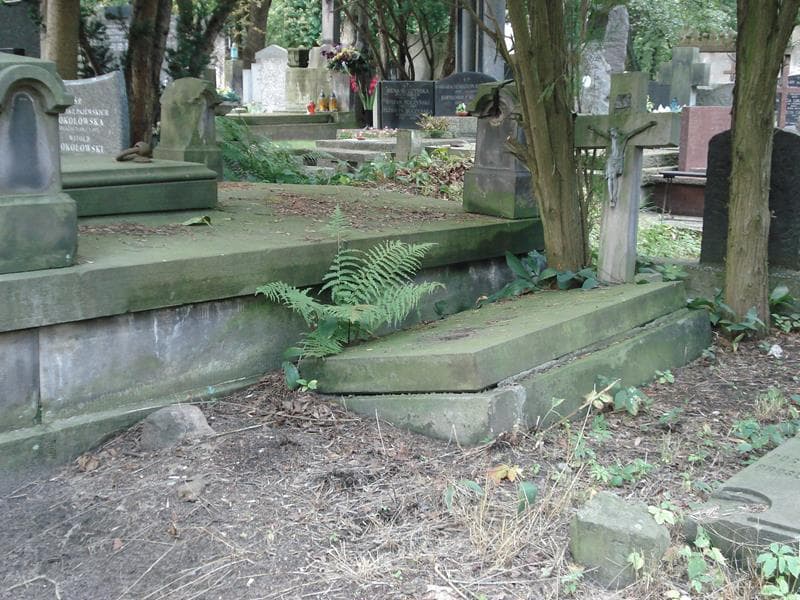 Zdjęcie grobu Wiktor De Junien - Sarnecki (1)