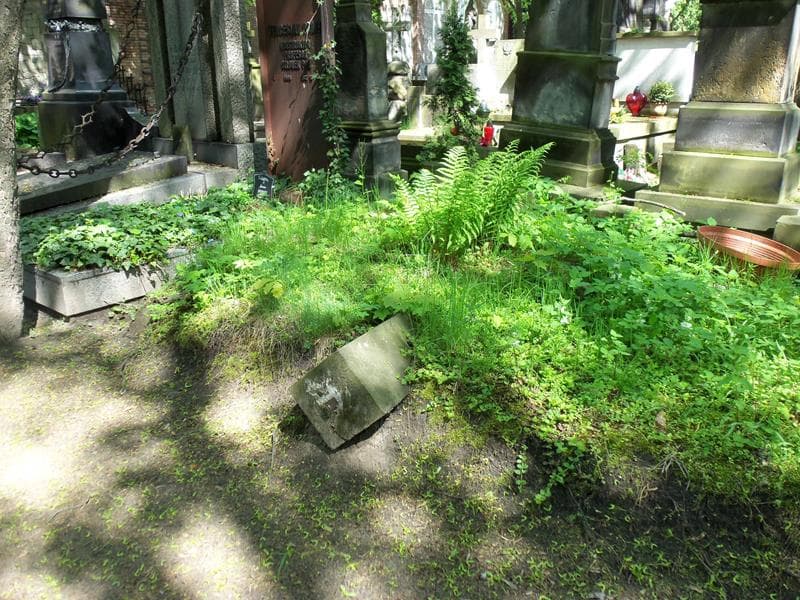 Zdjęcie grobu Kazimierz Ortatowski (1)