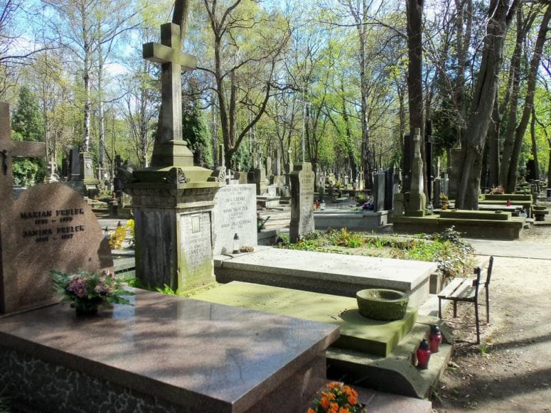 Zdjęcie grobu Ignacy Tonnowicz (1)
