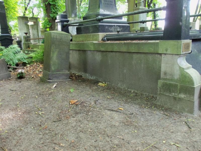 Zdjęcie grobu Ignacy Herbczyński (1)