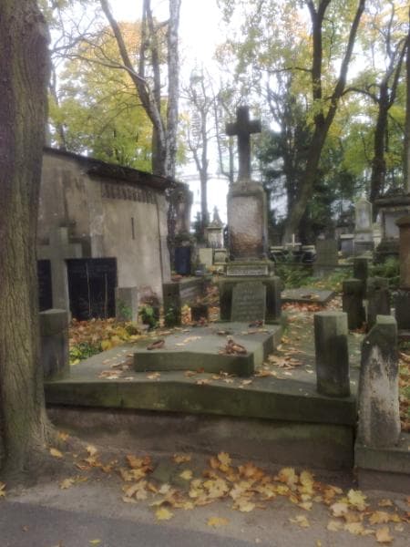 Zdjęcie grobu: Neerowie