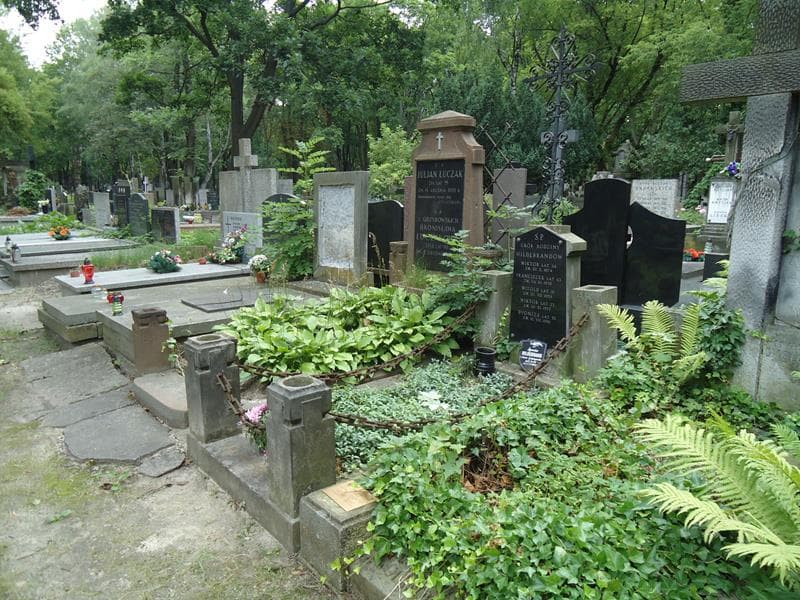 Zdjęcie grobu Wiktor Hildebrand (1)