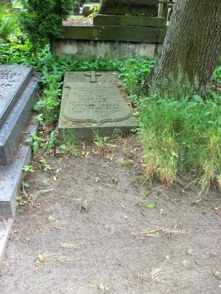 Zdjęcie grobu: Wojciech Wincenty Wadzyński