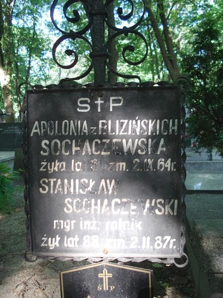 Zdjęcie grobu Anna Wasiewska (1)